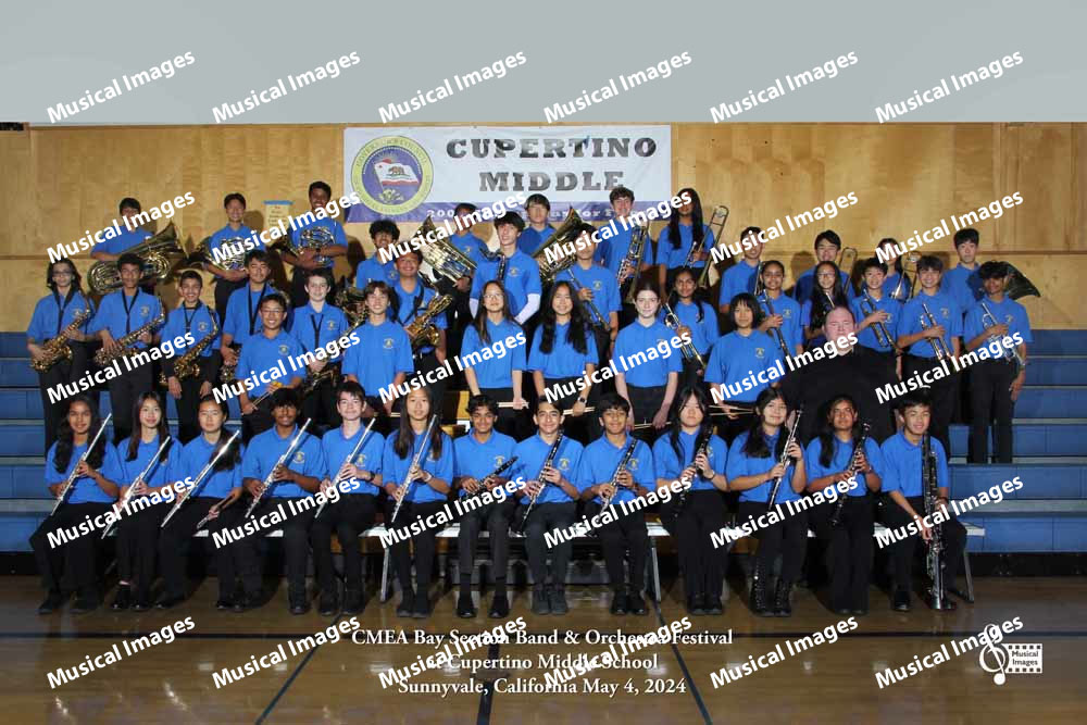 Musical Images